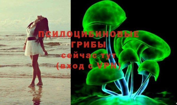 jwh Горняк